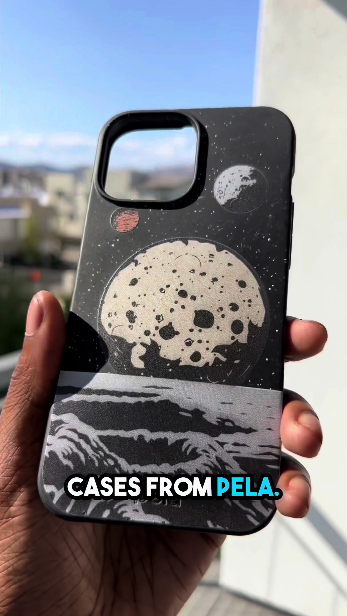 Pela Case