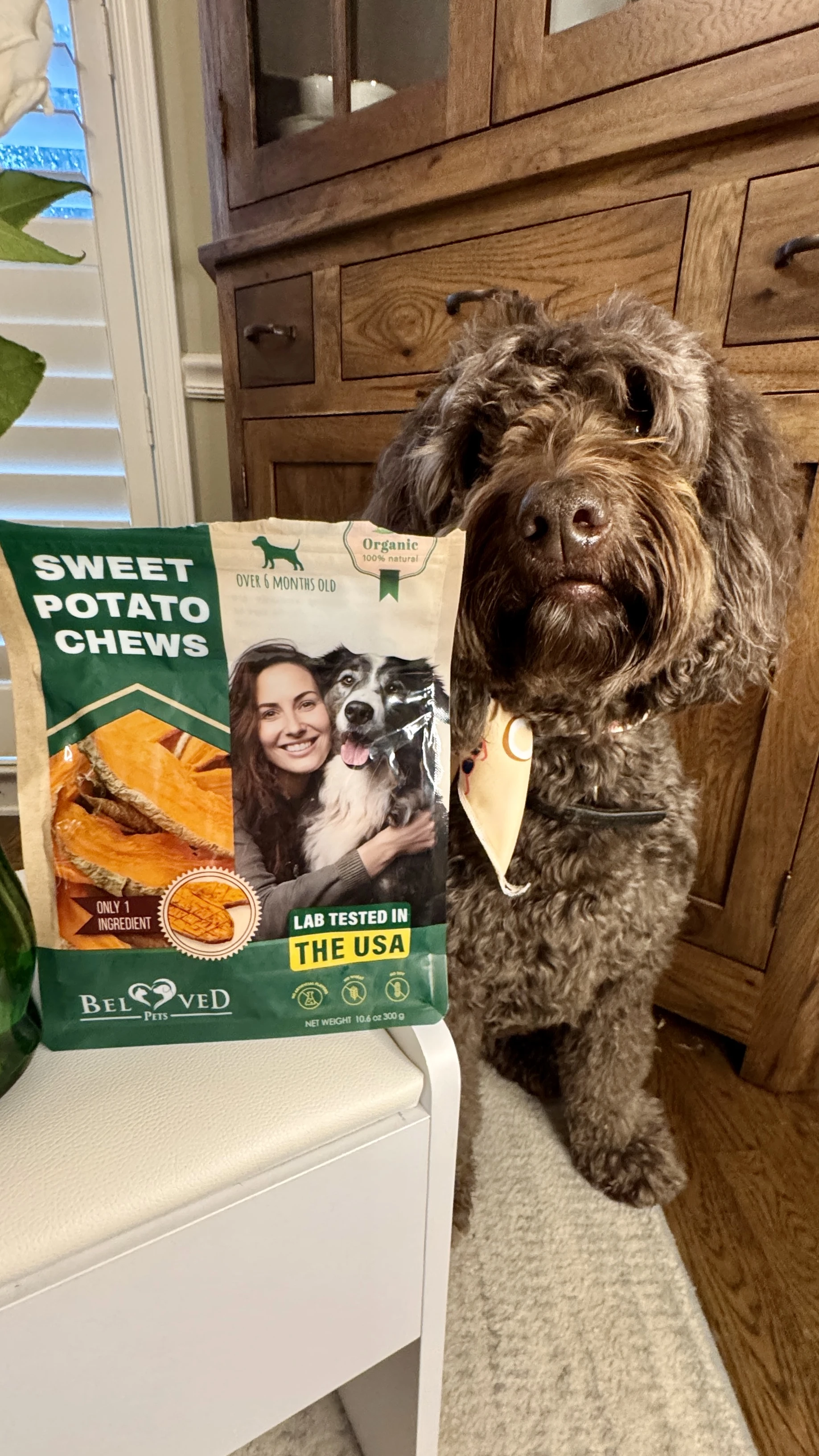 Beloved Pets - Sweet Potato Chews