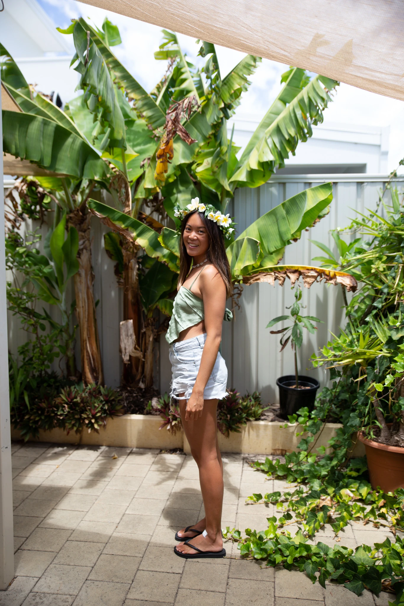 Frangipani Crown