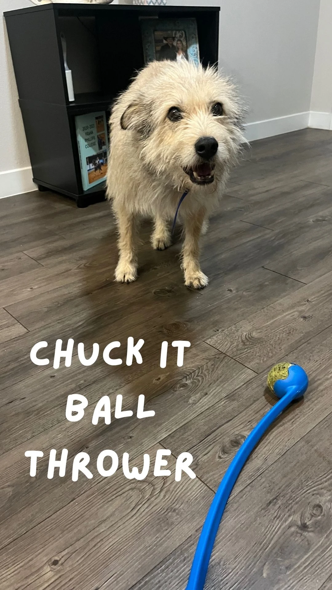 Chuck It!
