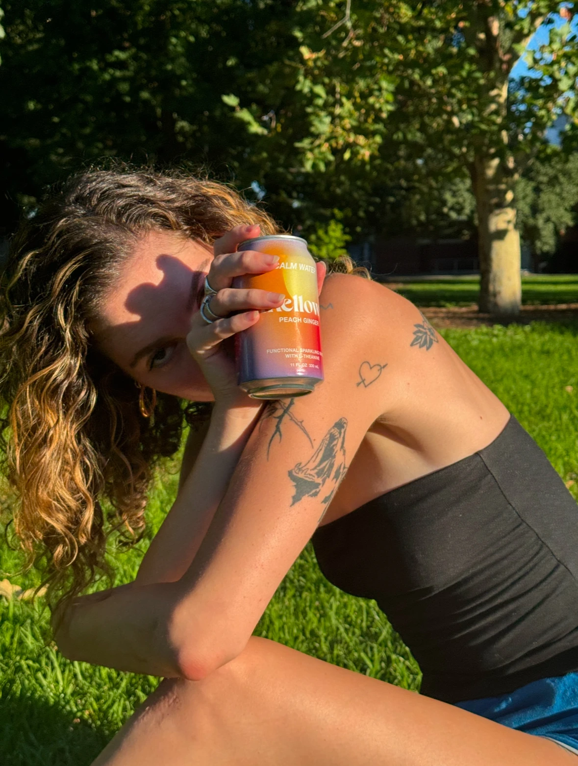 Mellows  - non-alc Nootropic drinks