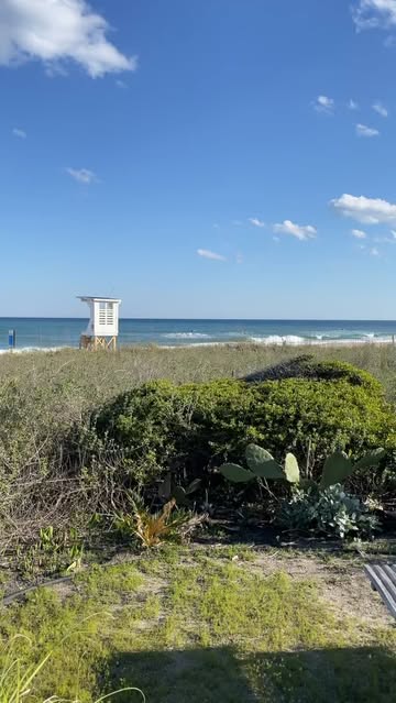 Trailborn Surf & Sound Hotel