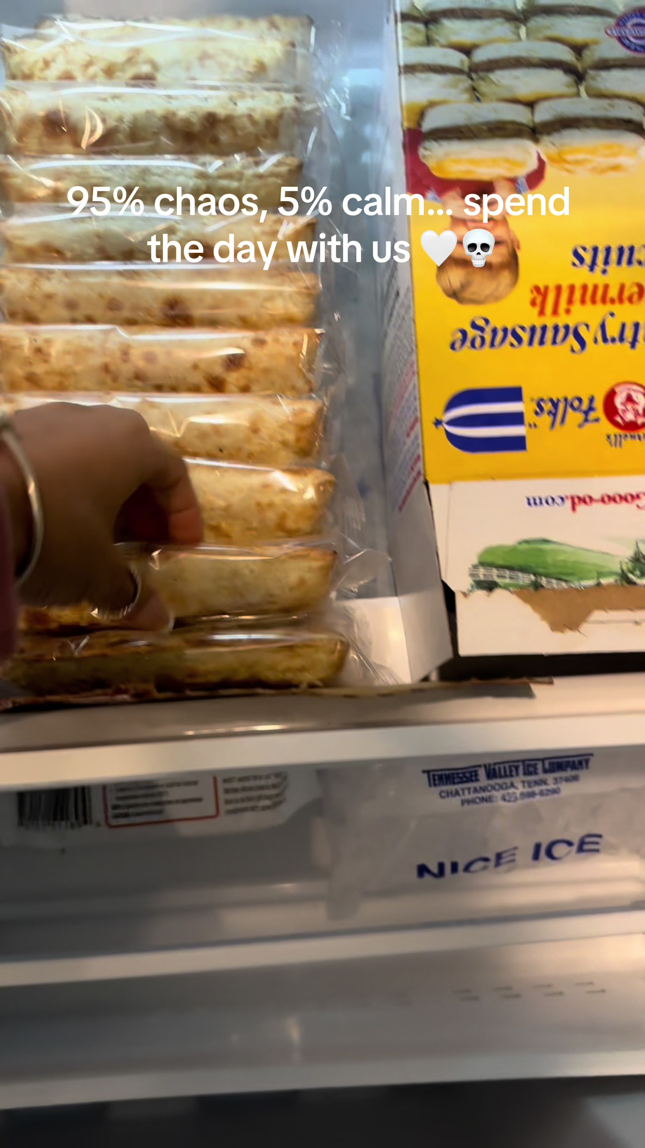 Spend the day with me – chaotic cozy edition (Hot Pocket start 🤭)