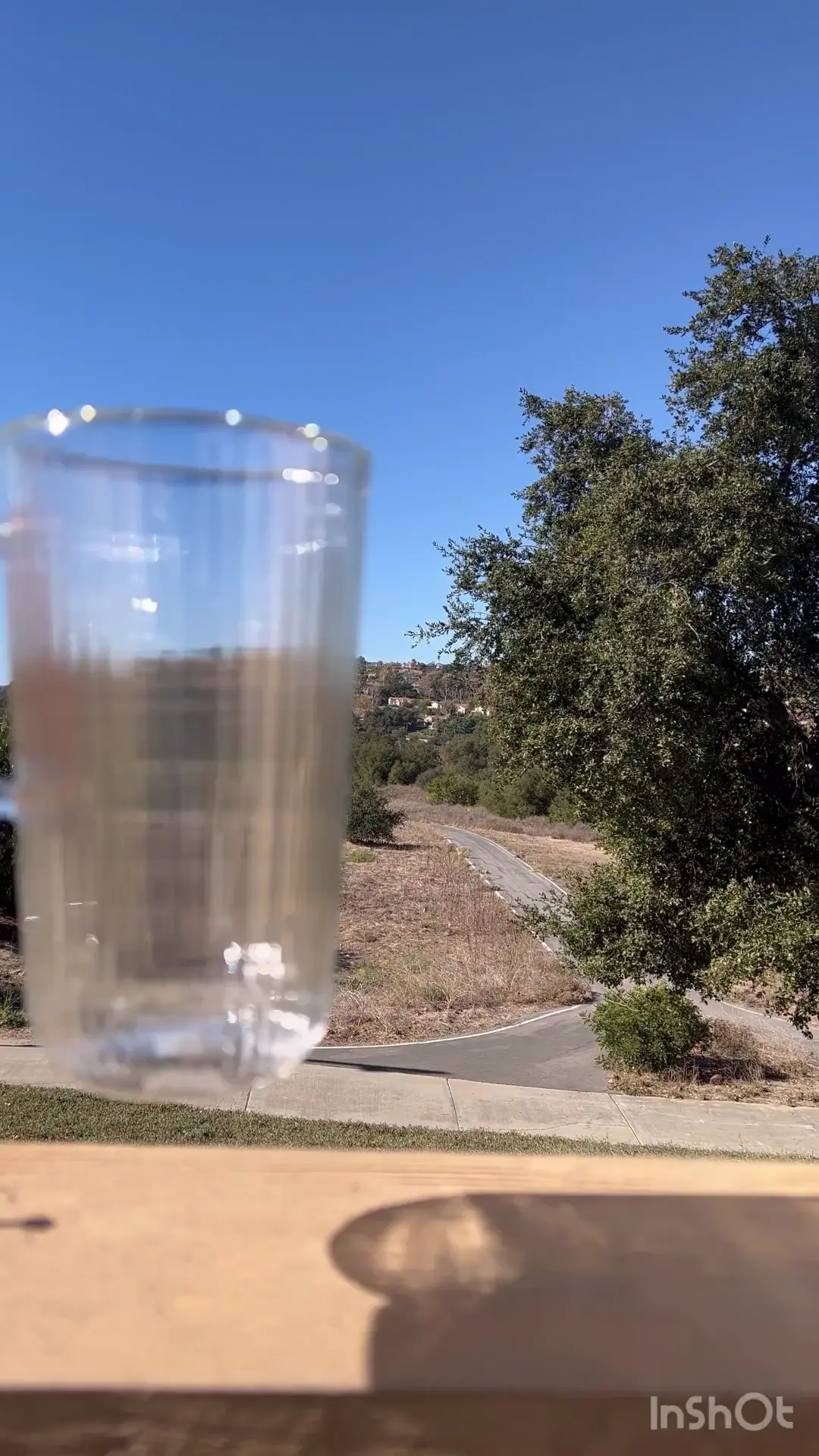 Wildwonder Probiotic Drinks