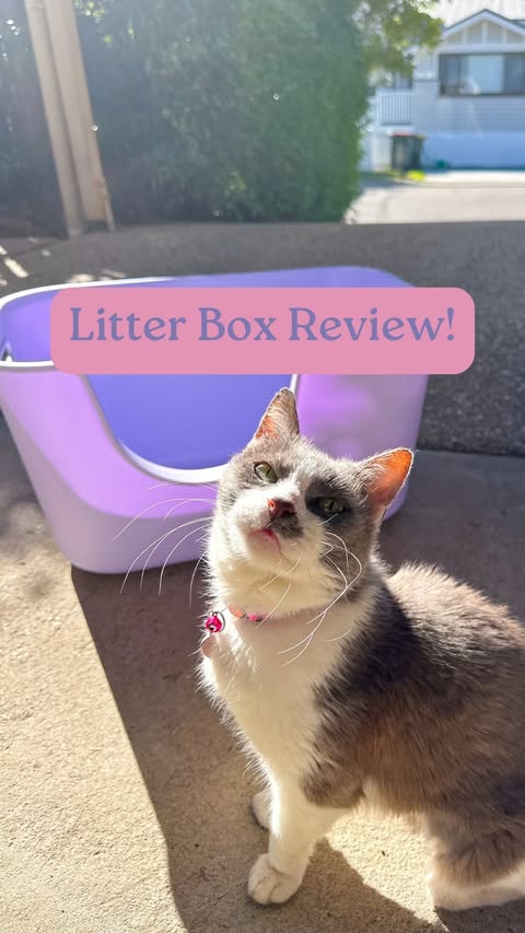 Supermarcat Kitty Litterbox