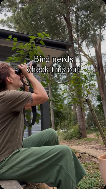 Birdfy
