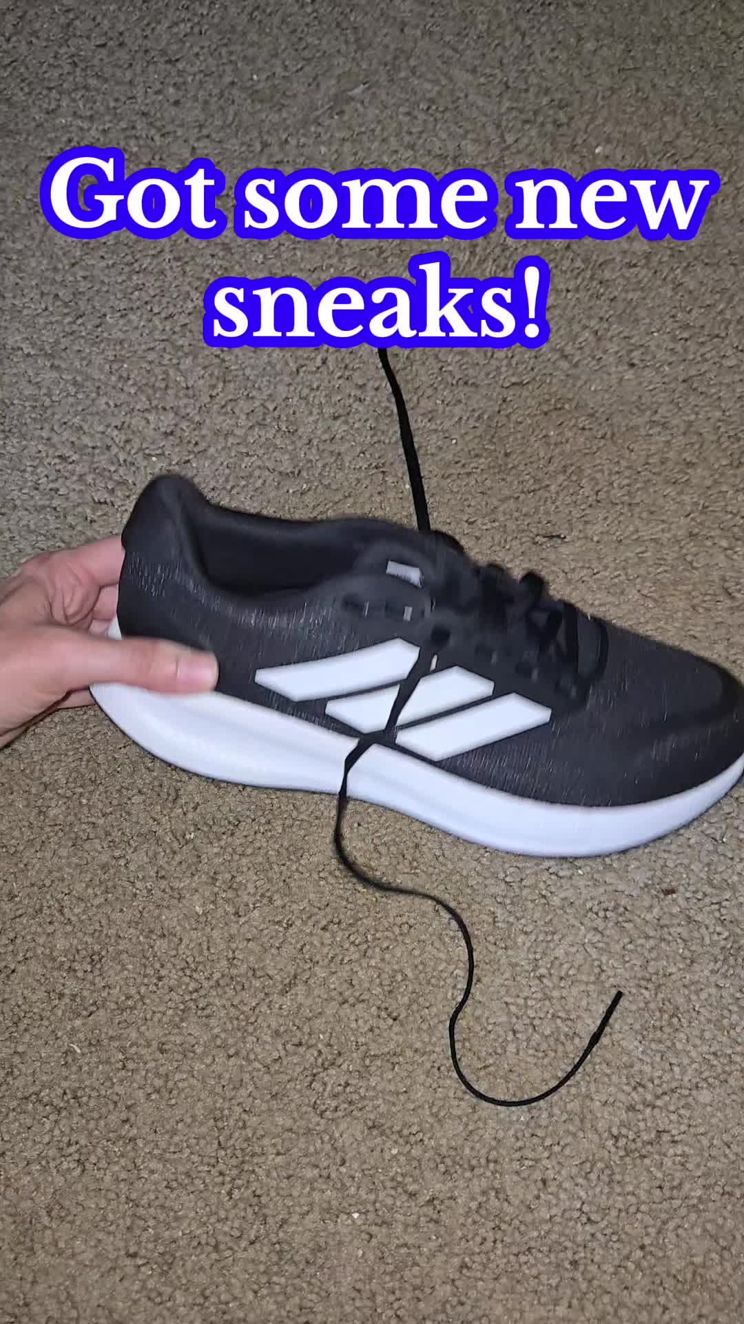 Adidas/Kohls
