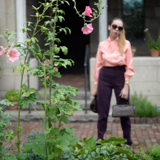 Violet Volition NY - Campain