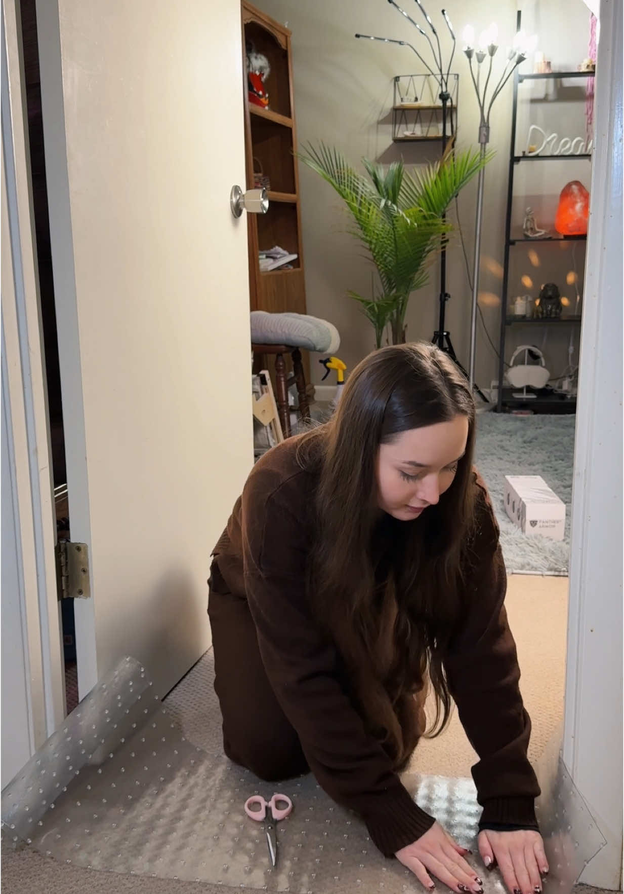 Carpet Protector