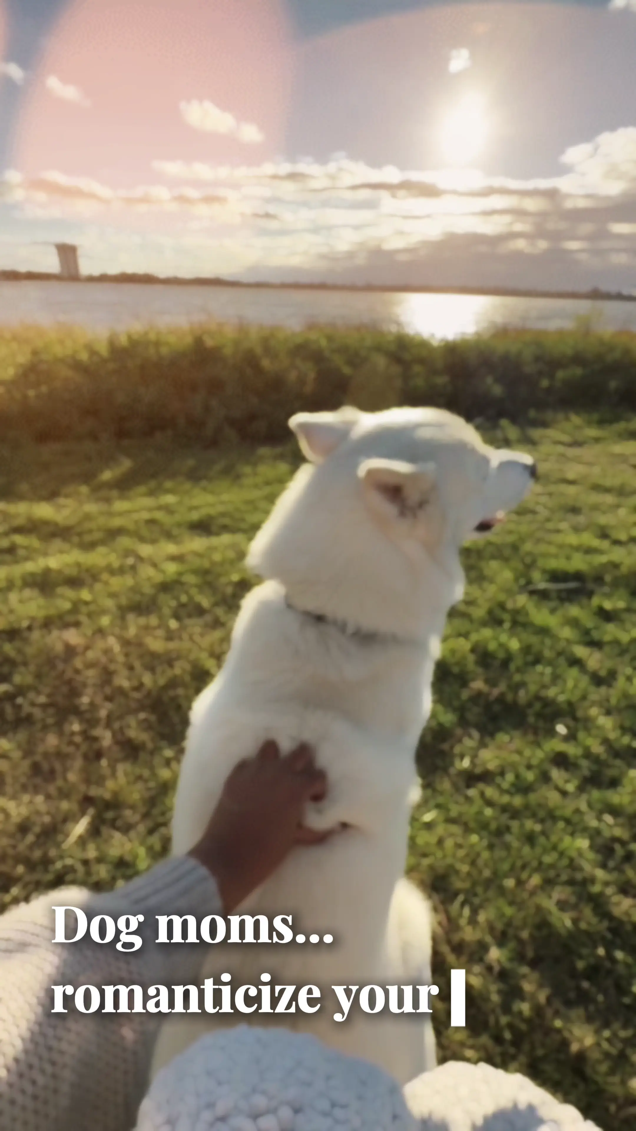 Pet + Nature UGC Example