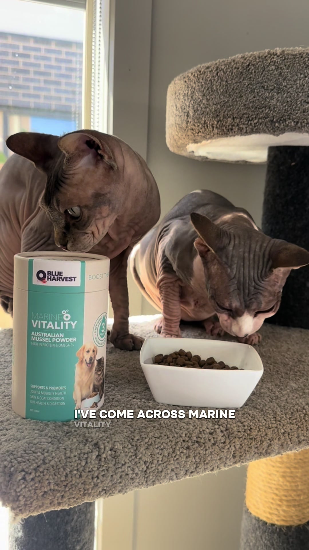 Marine Vitality