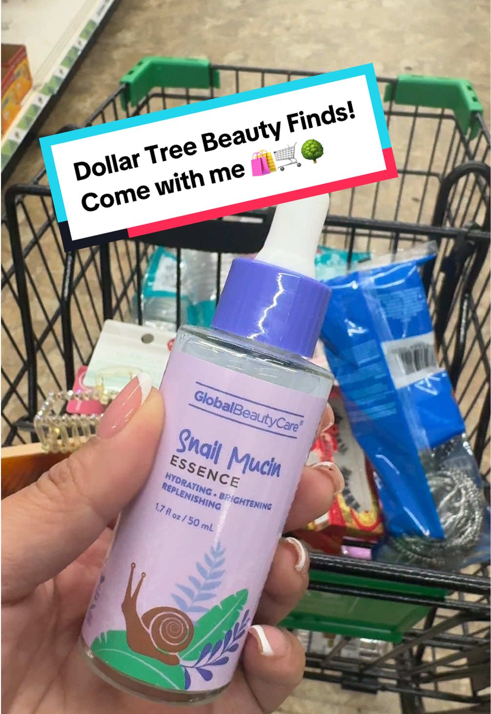 Dollar Tree Haul! 💰