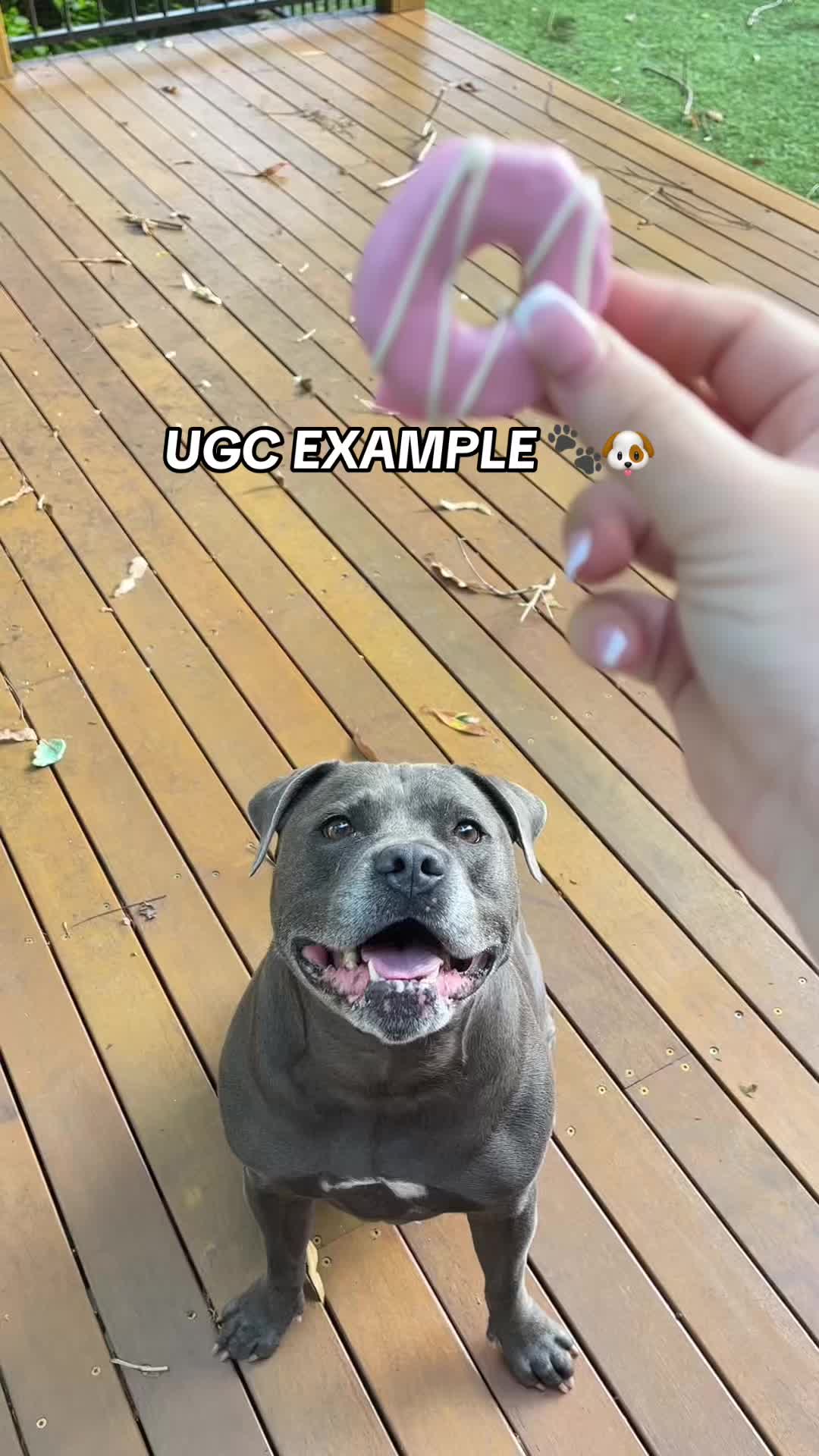 Pet Botanica UGC Organic