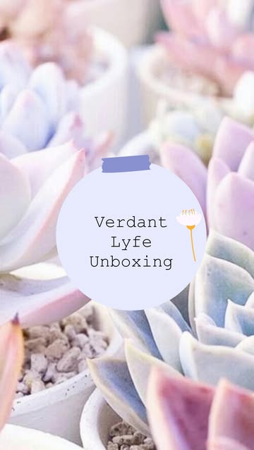 Verdant Lyfe Unboxing Collaboration