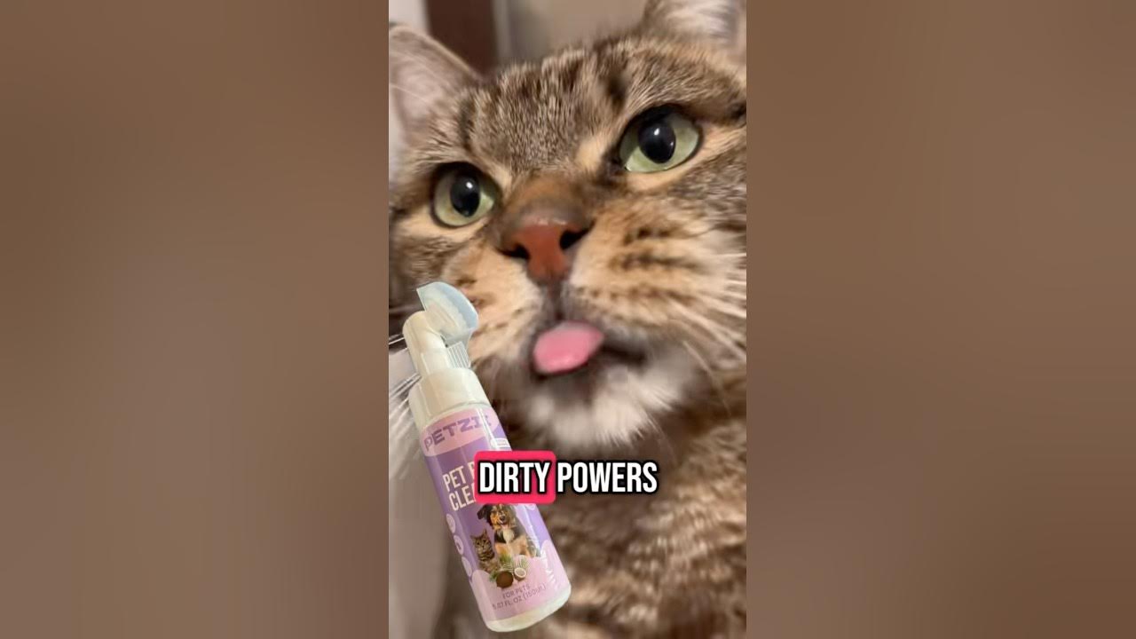 Paw cleaners (pet product)