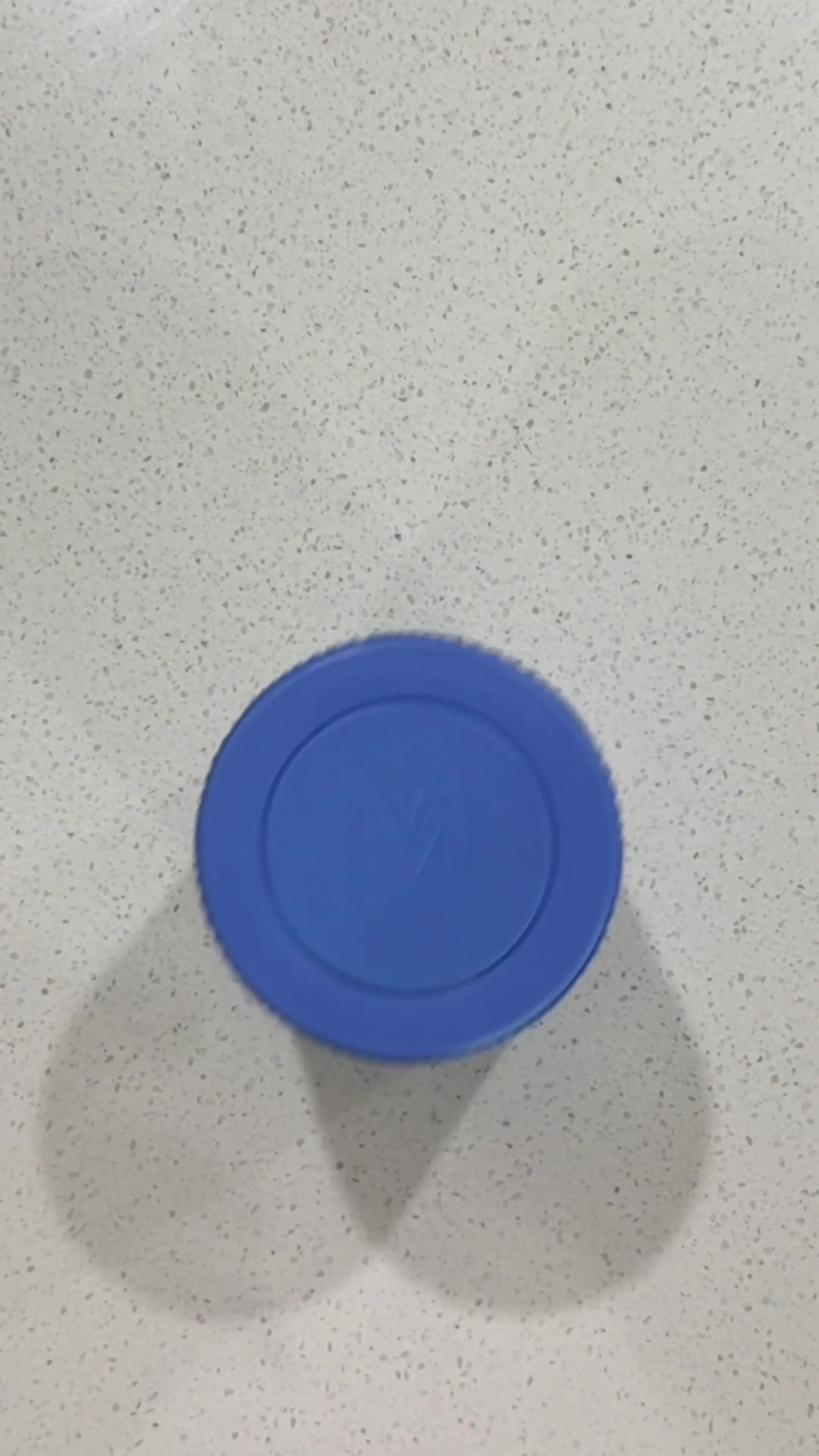 The Bento Buzz