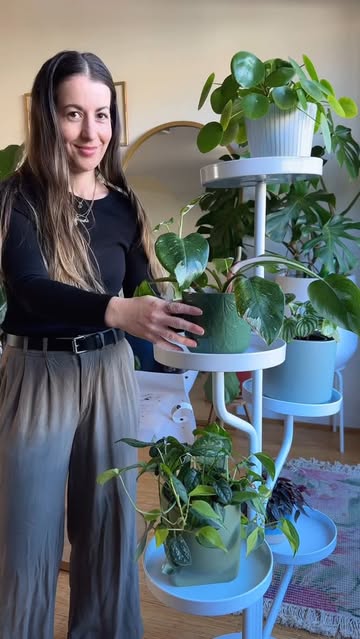 The plant runner