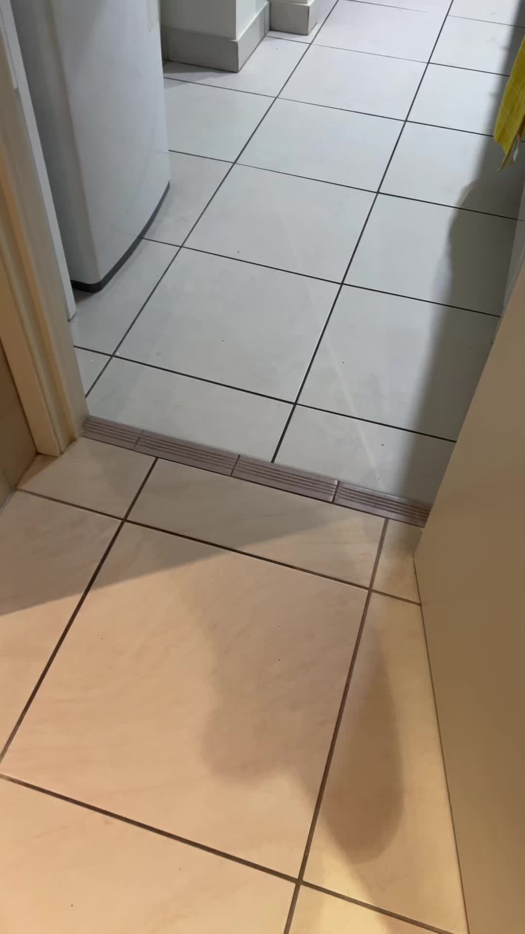 Cleantok