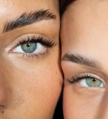 Eyelash/Eyebrow Model