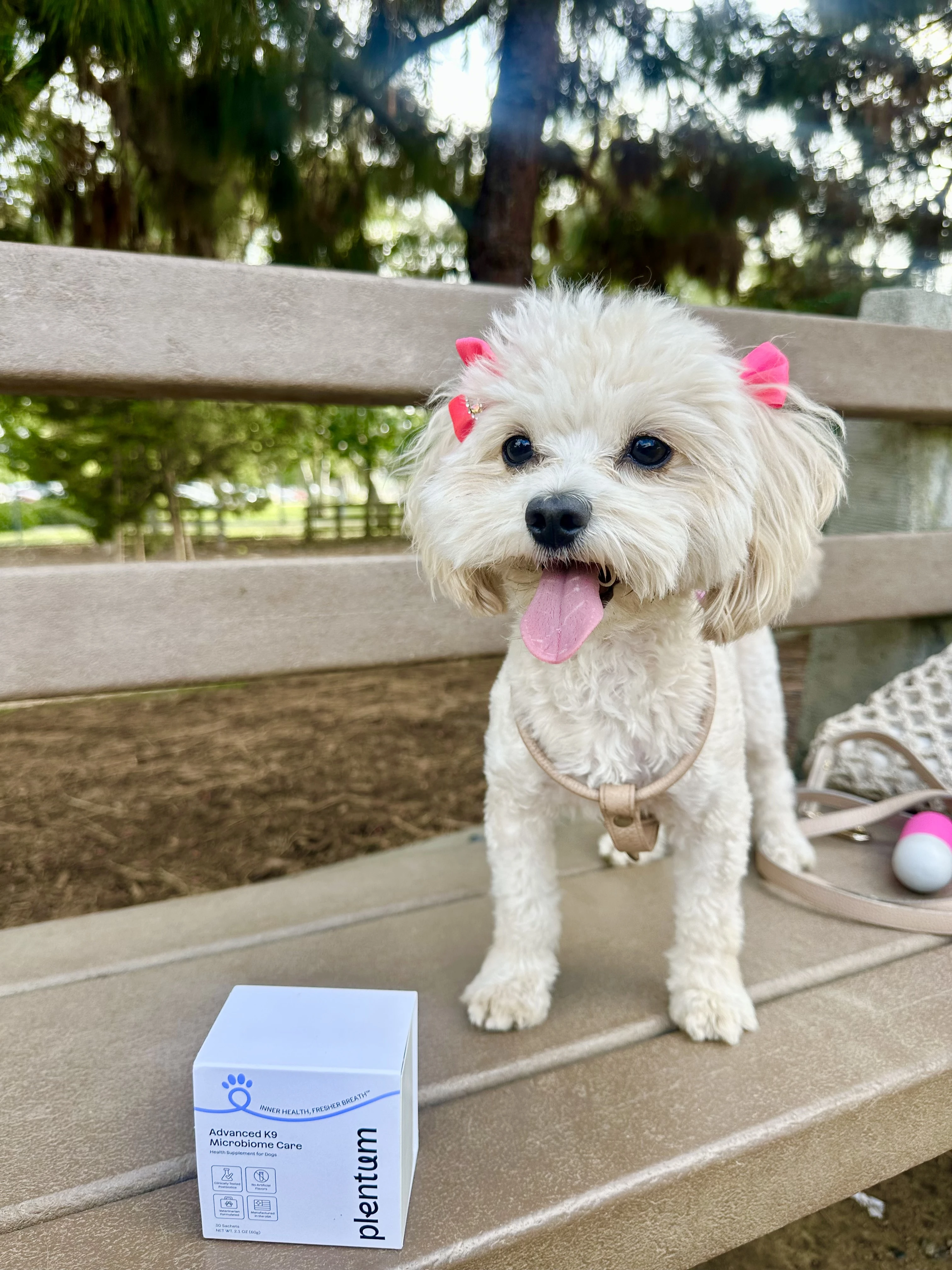 Pet Supplement