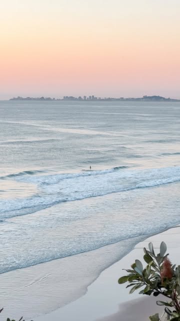 Paid Partnership with Experience Gold Coast (official tourism board of the Gold Coast, Australia)
