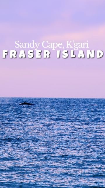 Visit K'gari, Fraser Island