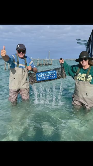 Experience Coffin Bay: Oyster Tour