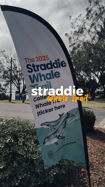 North Stradbroke Island x sealink collab