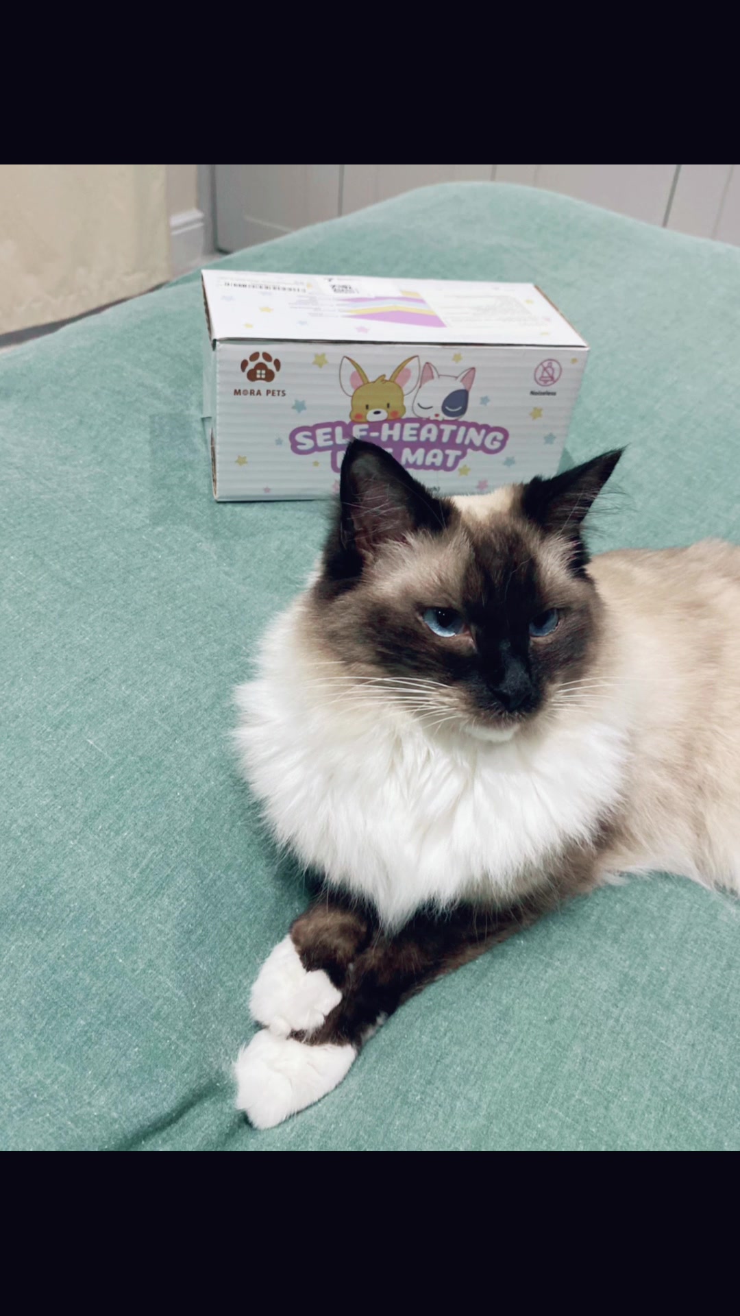 Mora Pets - Gifted Collab - Product Review