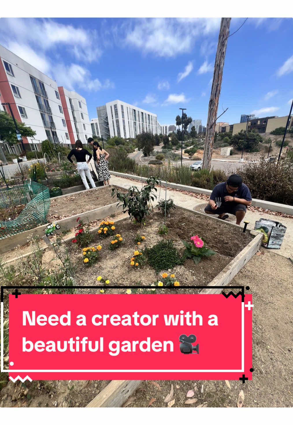Garden content
