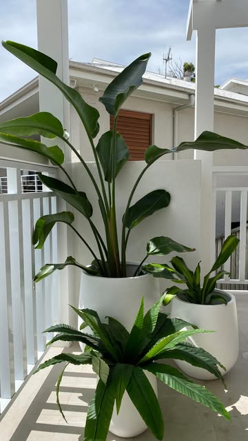 Pots By Slugg