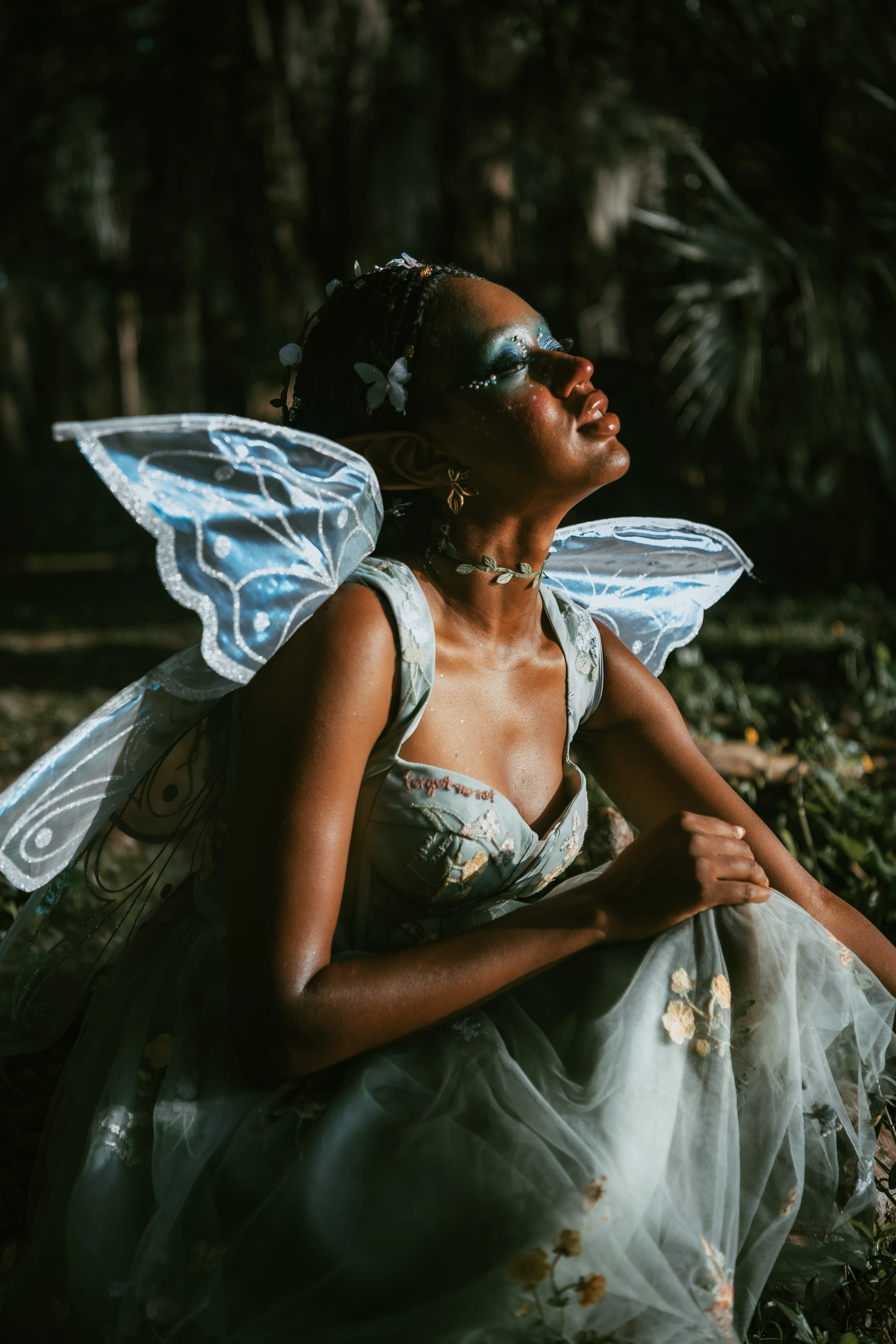Fairytale Dream