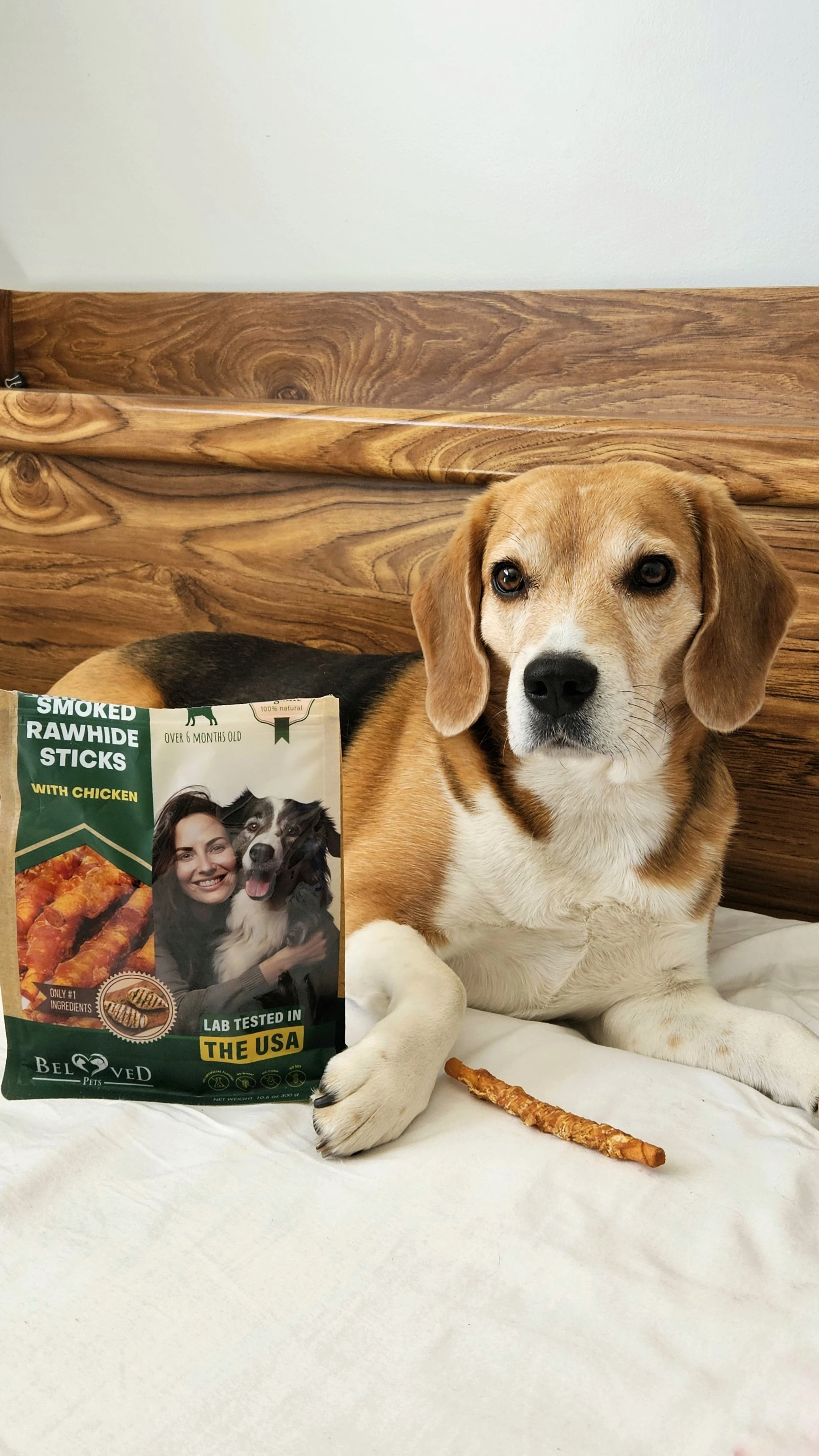 First collaboration with my dog for Belovedpets Brand