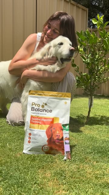 Pet Barn Ad
