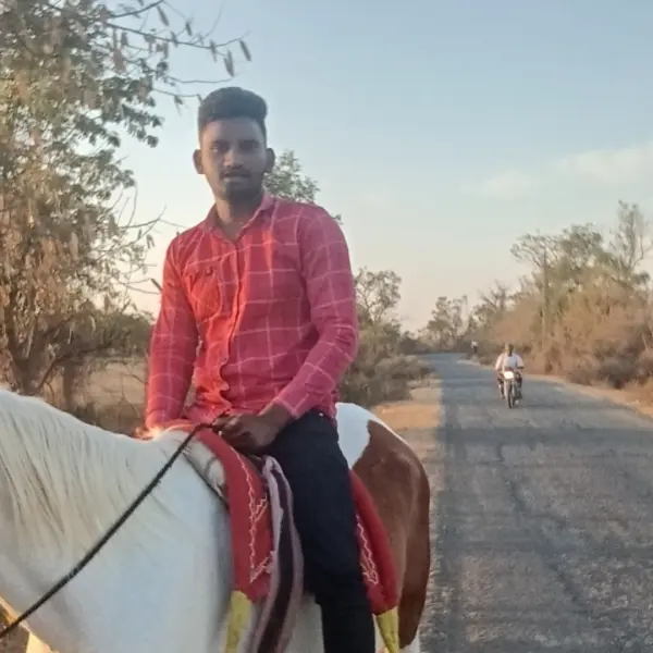 Sangada bhaylubhai Badiyabha | Travel, Home & Garden, Music, and Cont…
