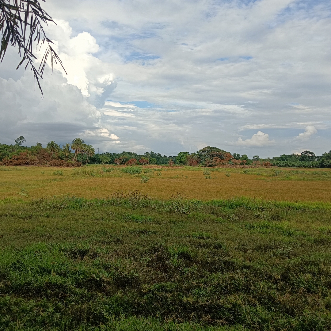 Sahid Sk