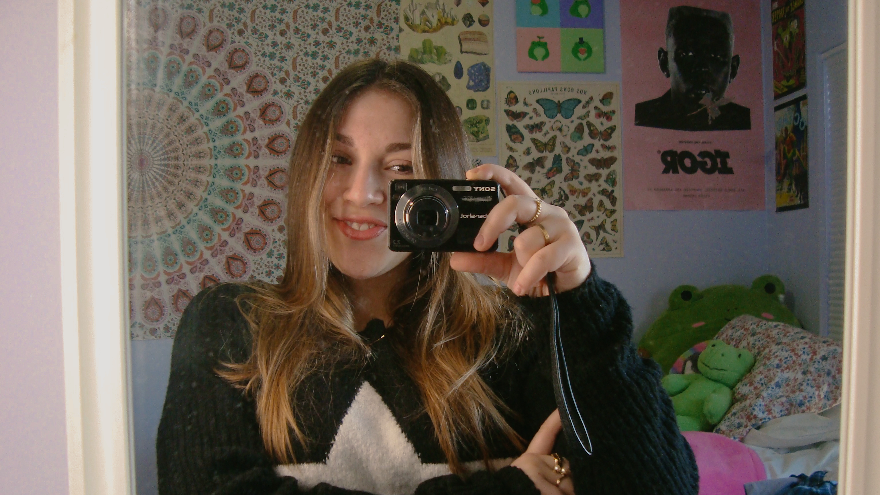 Hannah Landau