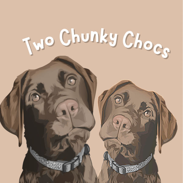 Duke and Maverick Shephard