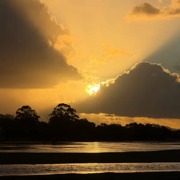Videographer, Photographer in Brisbane