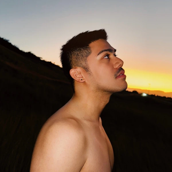 Harold Villa