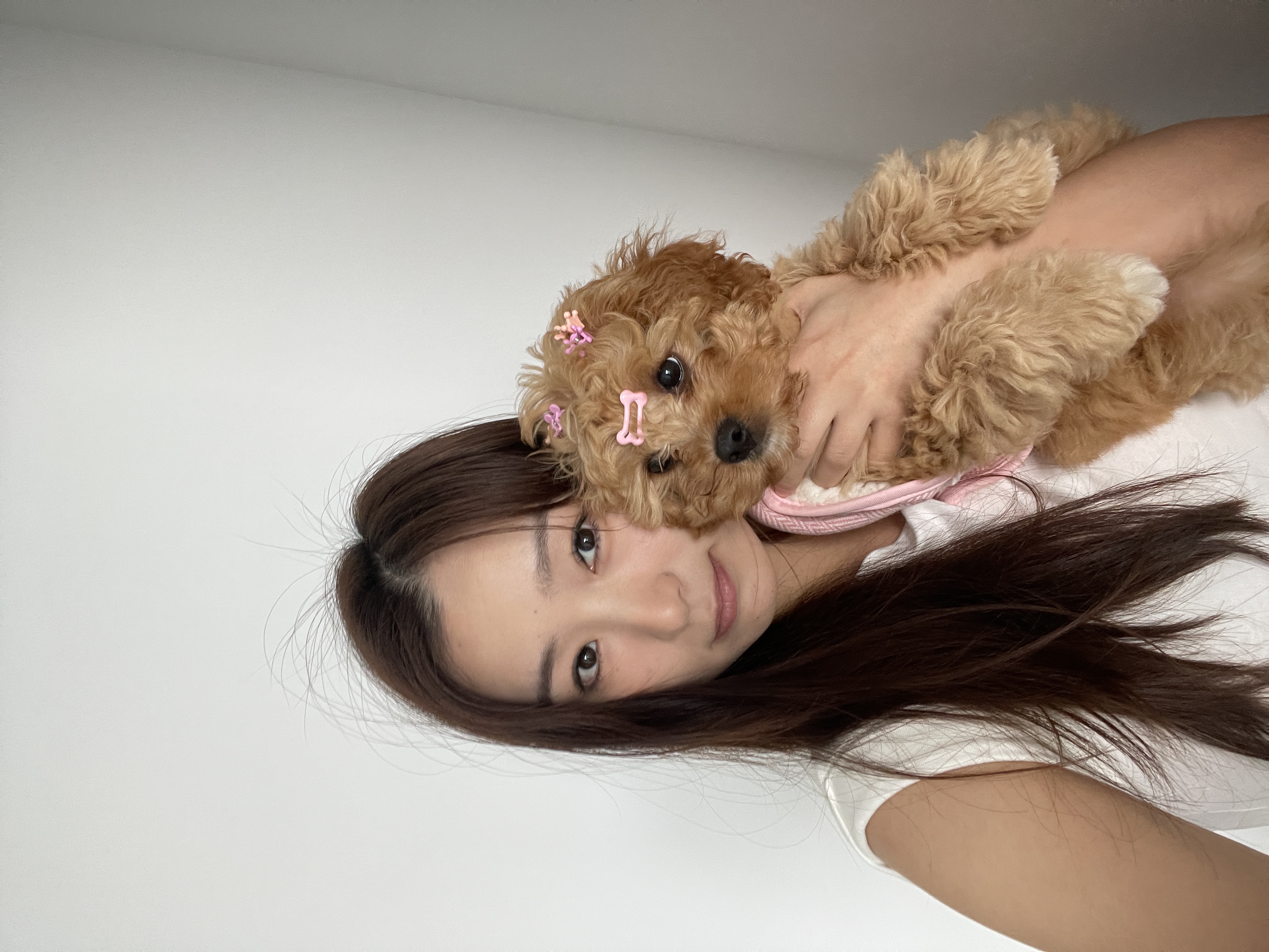 Yifan Zhang