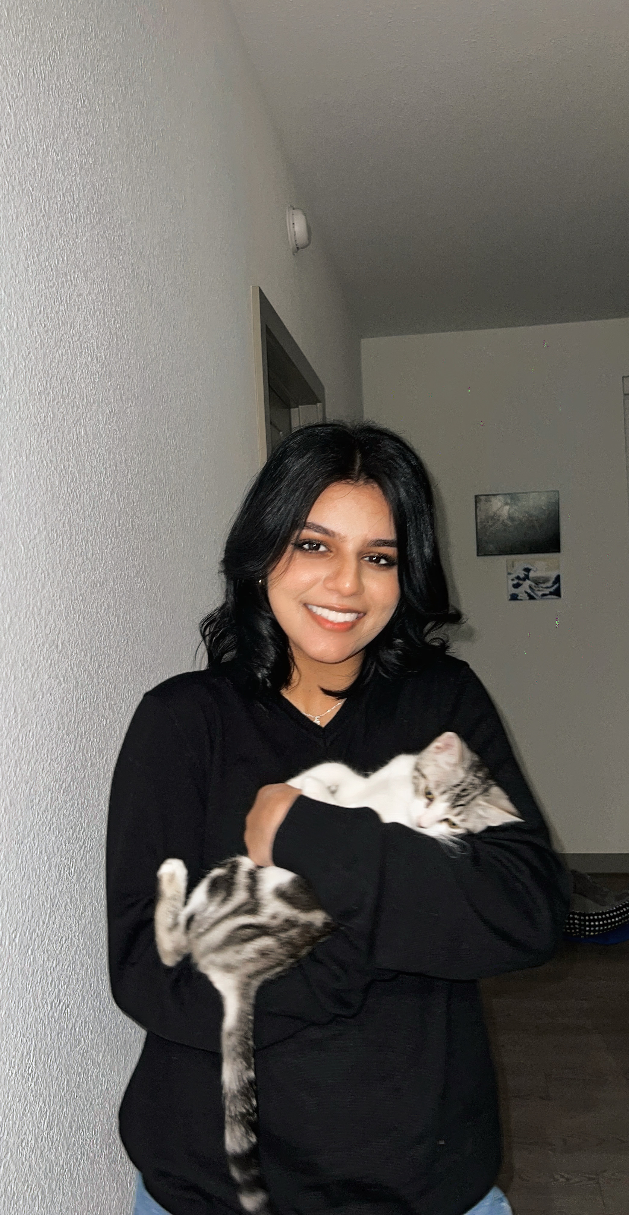 Aazeen Mohammad