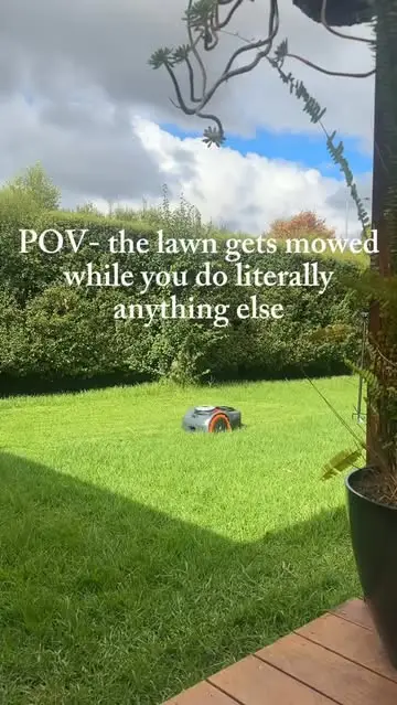 Instagram post thumbnail