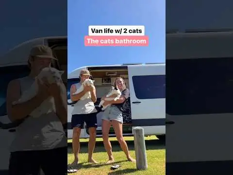 Youtube post preview 2 from UCv4_ROXVX_eZmnlmKPnZTfw
