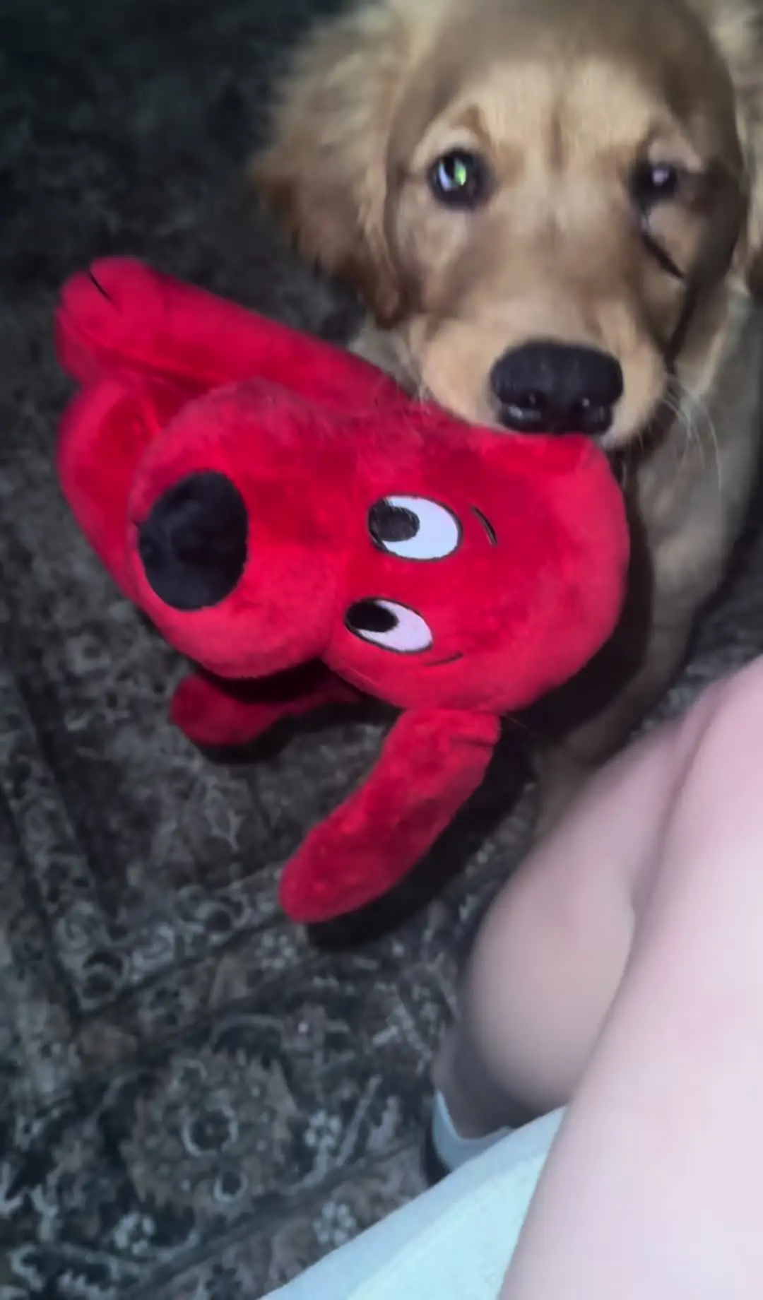 Tiktok post thumbnail