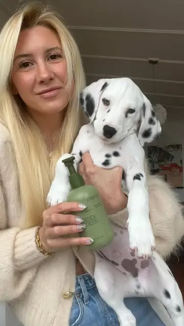 Instagram post thumbnail
