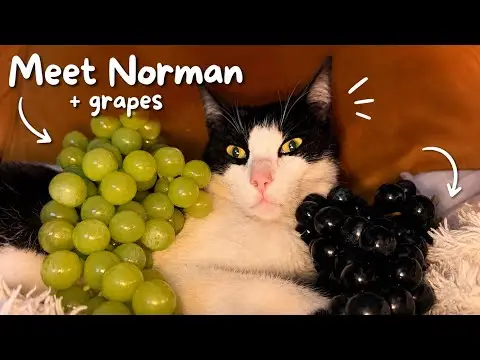 Youtube post thumbnail