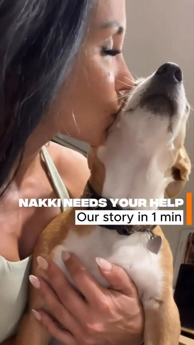 Instagram post preview 1 from paukkkkara