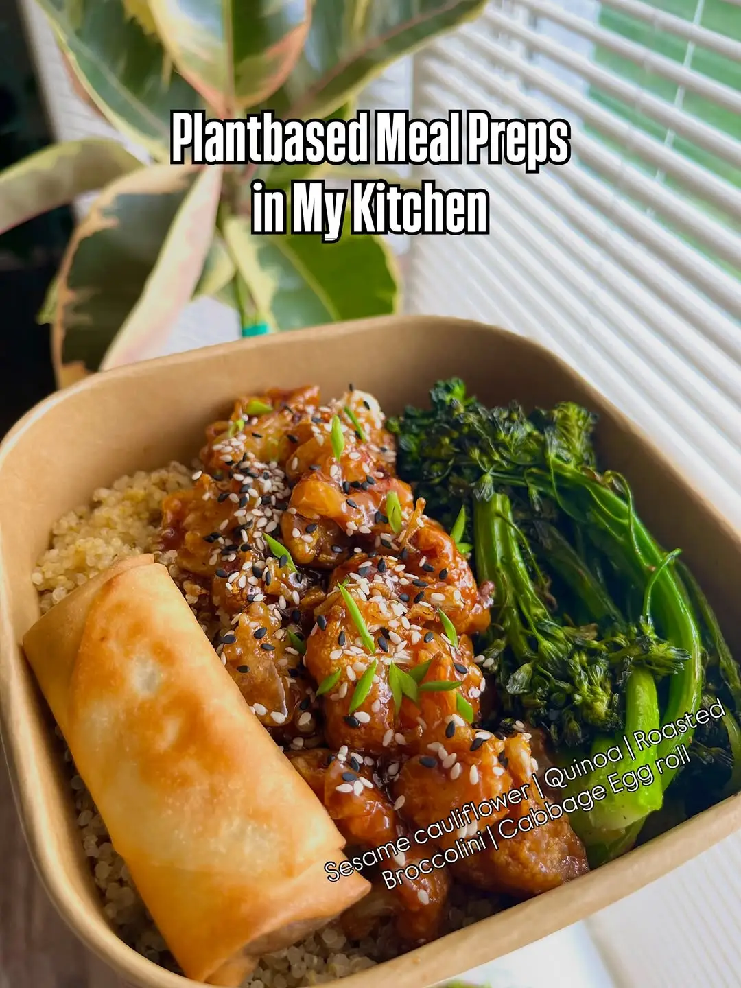 Instagram post preview 1 from plantbasedjas_