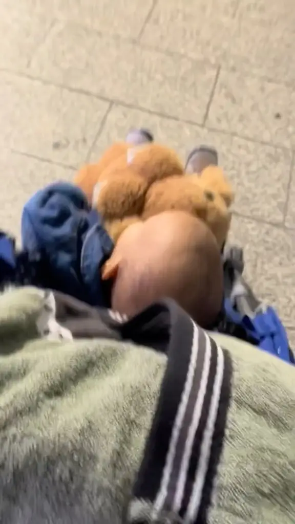 Instagram post thumbnail